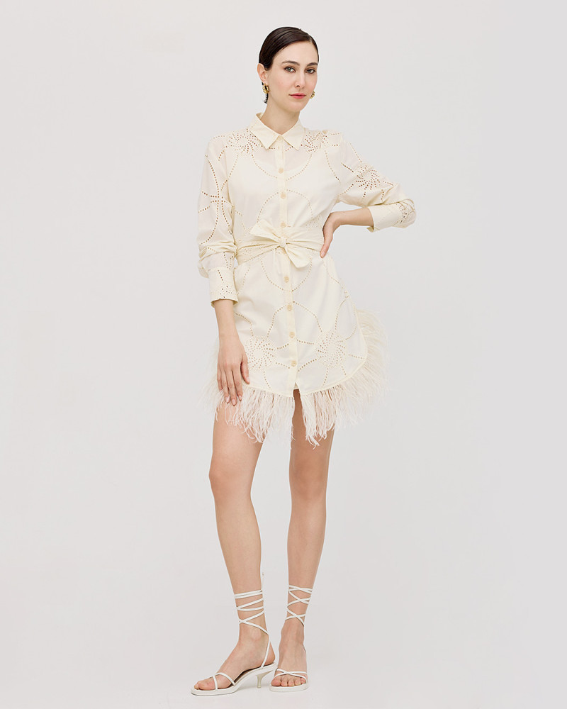 Mini shirt dress with feathers