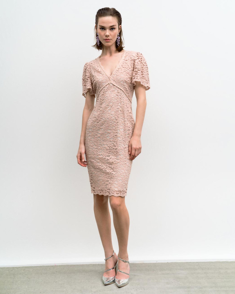 Pencil lace dress with short sleeves