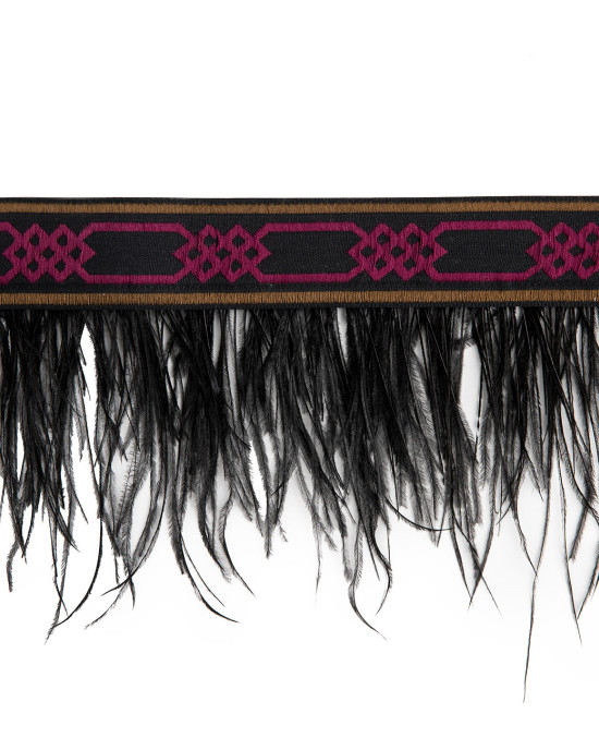 Belt with feathers